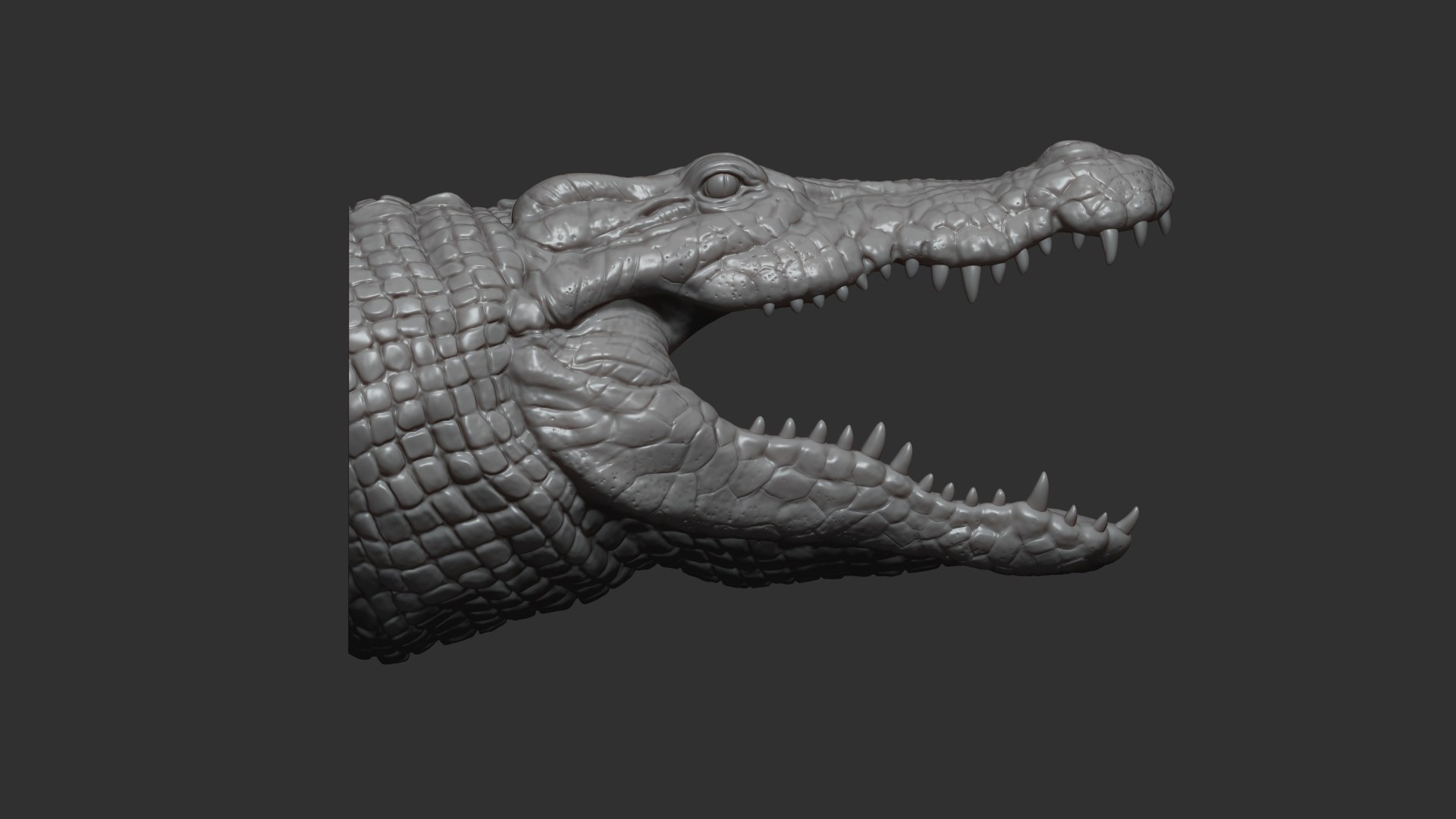 3D Crocodile head https://p.turbosquid.com/ts-thumb/qB/asgtbd/kG/4/jpg/1706265402/1920x1080/fit_q87/83aa1e3c1288102b9a0b7b1ed820da9c98660eef/4.jpg