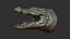 3D Crocodile head