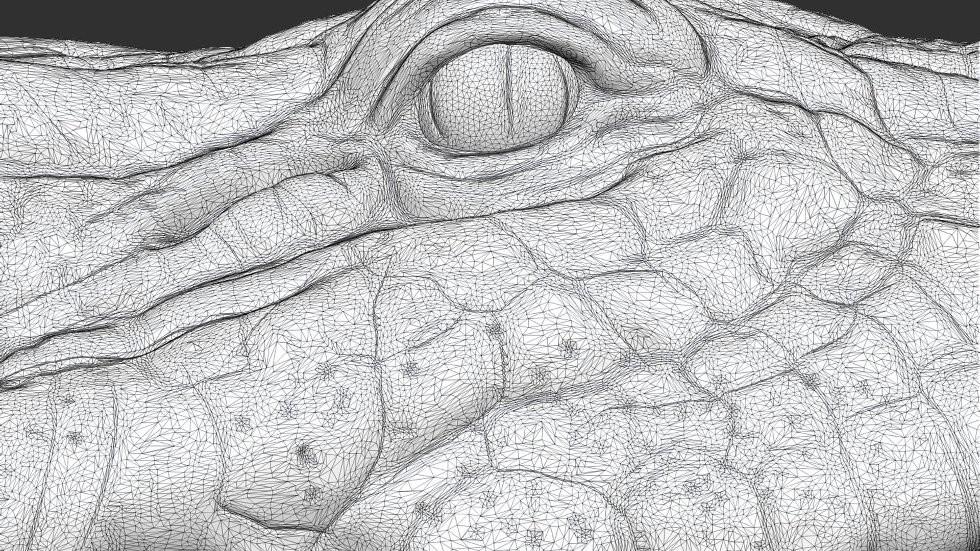 3D Crocodile head https://p.turbosquid.com/ts-thumb/qB/asgtbd/sY/70/jpg/1706265461/1920x1080/fit_q87/e8d4ee76d0efaa265aa206095d5b2af673dd496a/70.jpg