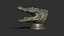 3D Crocodile head