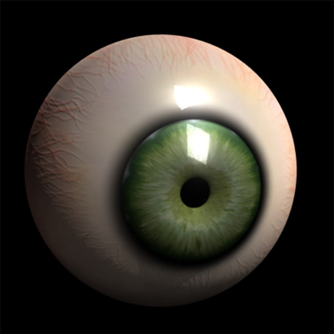 3d model jax male character upper https://p.turbosquid.com/ts-thumb/qB/eHFLt2/HOWWmECU/eye_render_scr/jpg/1235600985/1920x1080/fit_q87/47bddba4bc3c750d159aacbb2d1f438774a64ccd/eye_render_scr.jpg