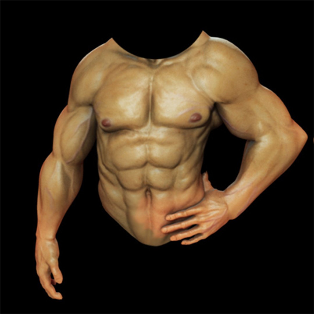 3d model jax male character upper https://p.turbosquid.com/ts-thumb/qB/eHFLt2/y0auaWX3/body_angle_scr/jpg/1235600952/1920x1080/fit_q87/76cd1082db074b1b0f4e5eeaf188027573daa79f/body_angle_scr.jpg