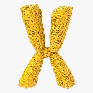 3D Condensed Chromosomes model