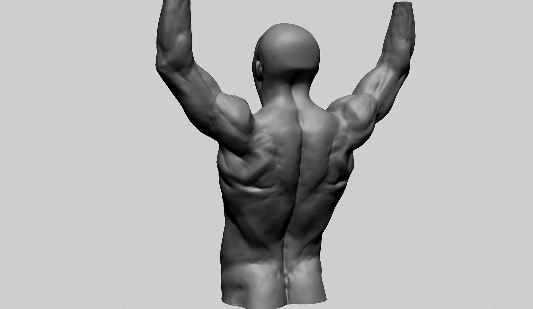 Male Upper Body Printable 3D Model - TurboSquid 2198902