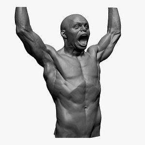 Male Upper Body Printable 3D model