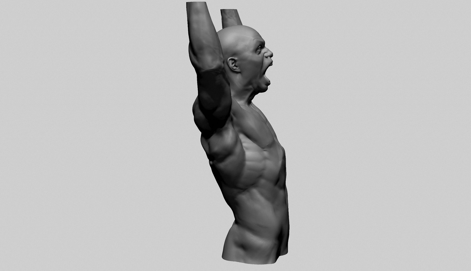 Male Upper Body Printable 3D Model - TurboSquid 2198902