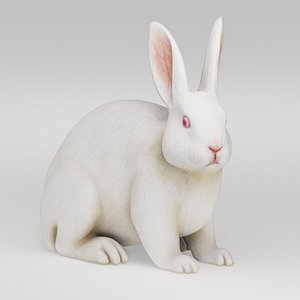 Realistic Bunny White Rabbit 3D model