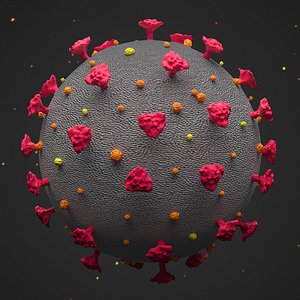Covid-19 Coronavirus SARS 3D Model