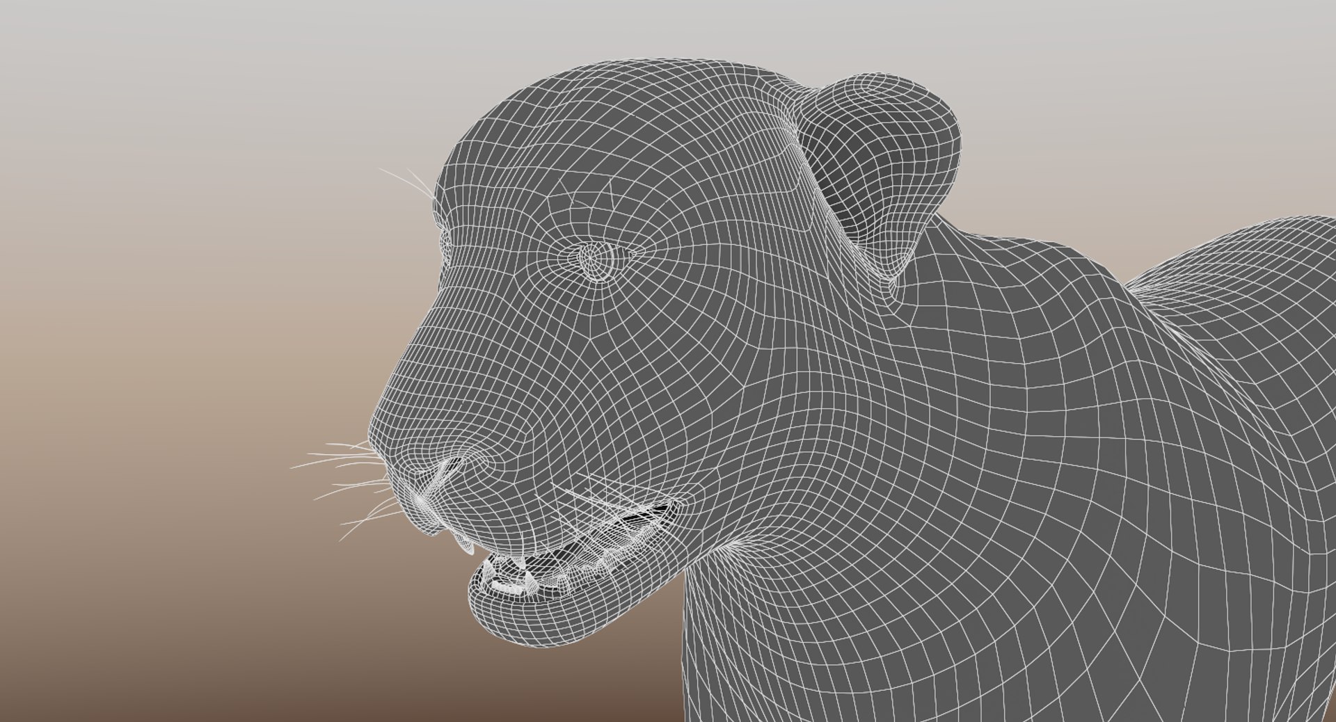 cheetah v-ray animation 3d obj https://p.turbosquid.com/ts-thumb/qC/At6cPe/3U9kcHbq/cheetahfurwire2/png/1488774315/1920x1080/fit_q87/b06c5dd764c92d67ff1603af3e77fcc55052a5bc/cheetahfurwire2.jpg