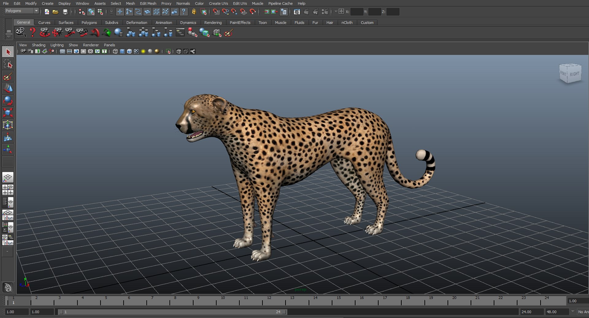cheetah v-ray animation 3d obj https://p.turbosquid.com/ts-thumb/qC/At6cPe/8AU2jr9a/maya2013/png/1488942610/1920x1080/fit_q87/f26b925248700d5572d46153b37eeb05b3639197/maya2013.jpg