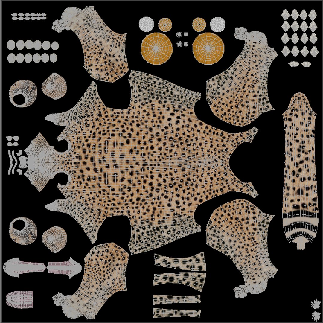 cheetah v-ray animation 3d obj https://p.turbosquid.com/ts-thumb/qC/At6cPe/ULxT9d83/unwrapuvw/png/1488774381/1920x1080/fit_q87/36ae10f3e4e0c79fddf01f7664b855a155d8412a/unwrapuvw.jpg