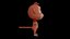 Asset - Modèle 3D de dessin animé - Animal - Singe - Rig