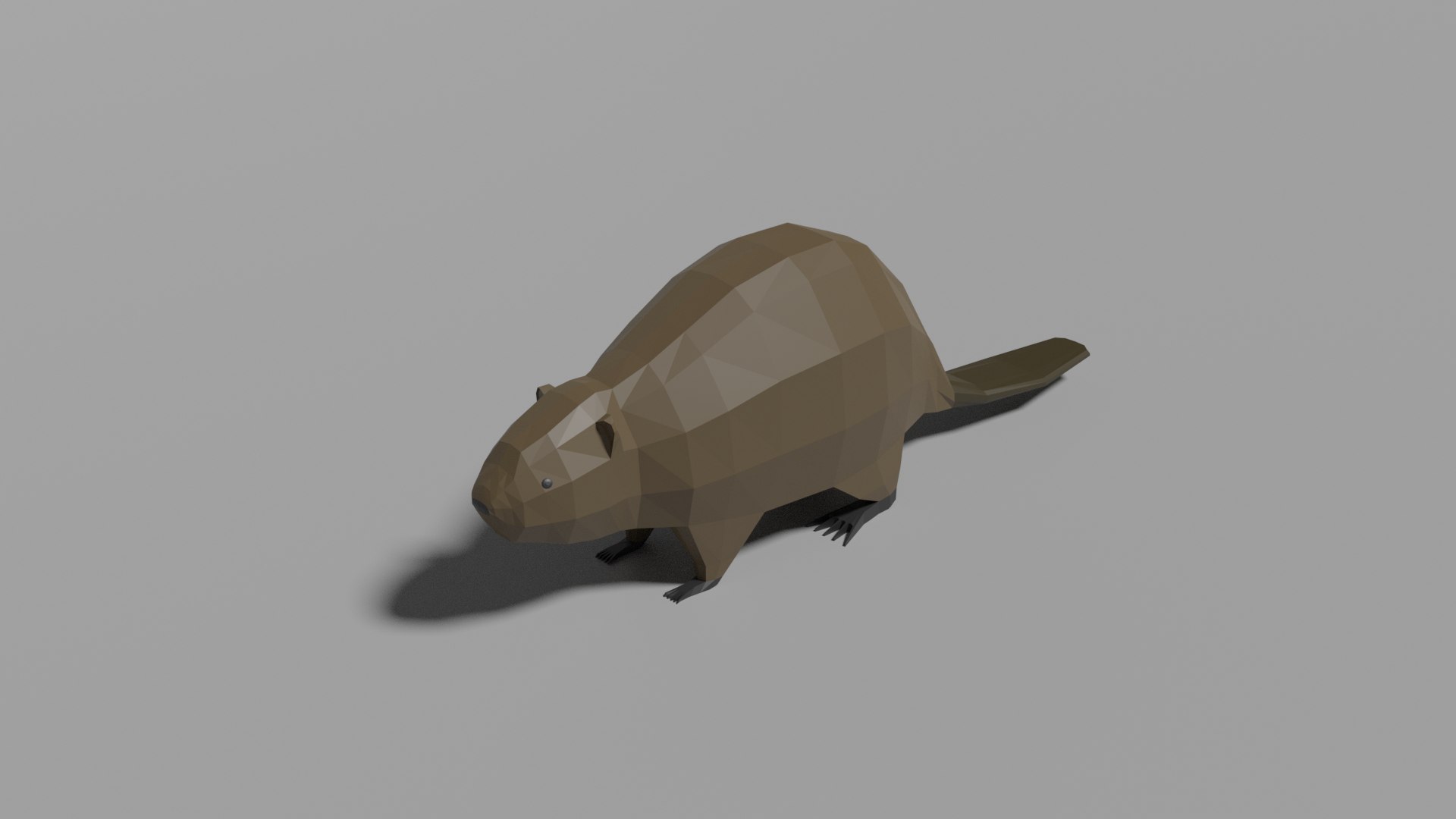 3D Model Low-poly Beaver - TurboSquid 1806907