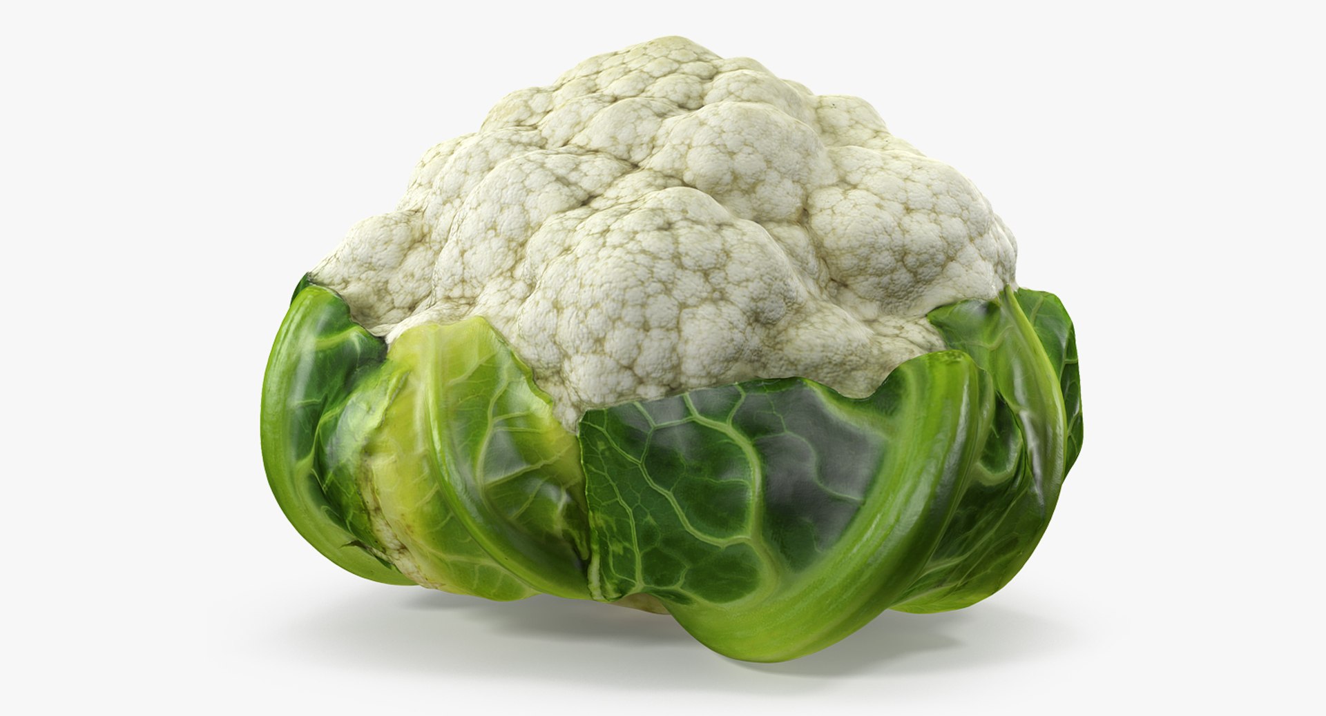 Vegetables Collection 3D model preview