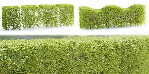 bush collection vol 38-Blender 3D