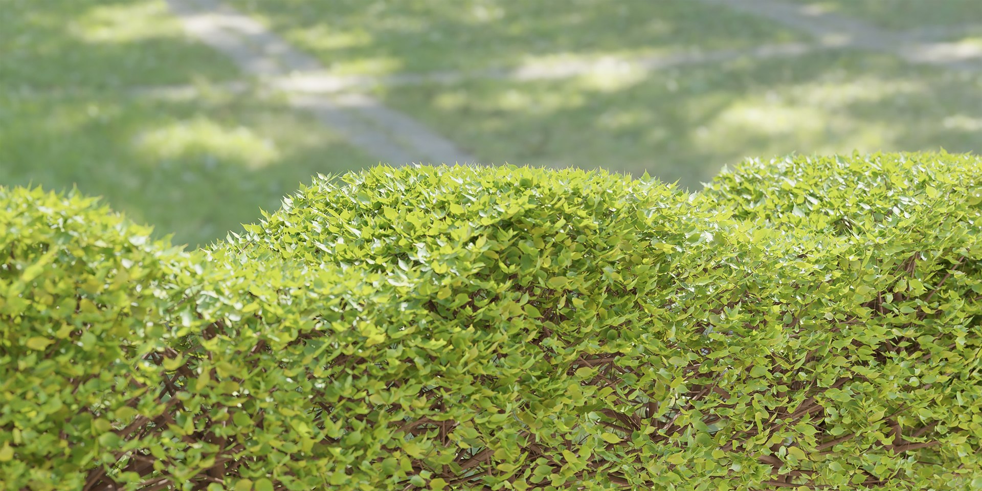 bush collection vol 38-Blender 3D https://p.turbosquid.com/ts-thumb/qC/bzRI2k/DR/6/jpg/1692204399/1920x1080/fit_q87/50e3ca2f6949ac28612b5ef1f8b145840311bb18/6.jpg