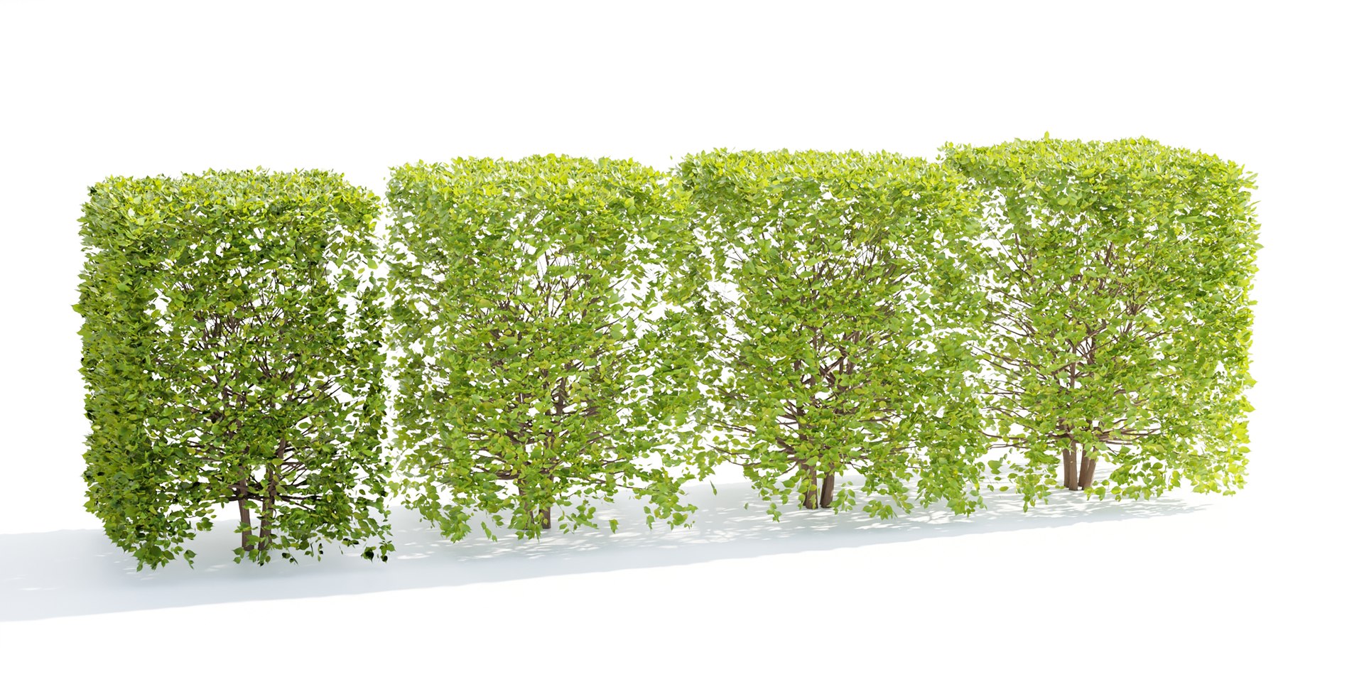 bush collection vol 38-Blender 3D https://p.turbosquid.com/ts-thumb/qC/bzRI2k/eW/3/jpg/1692204394/1920x1080/fit_q87/a847e61e877145d28680127dcfe0c94ab80f57a9/3.jpg