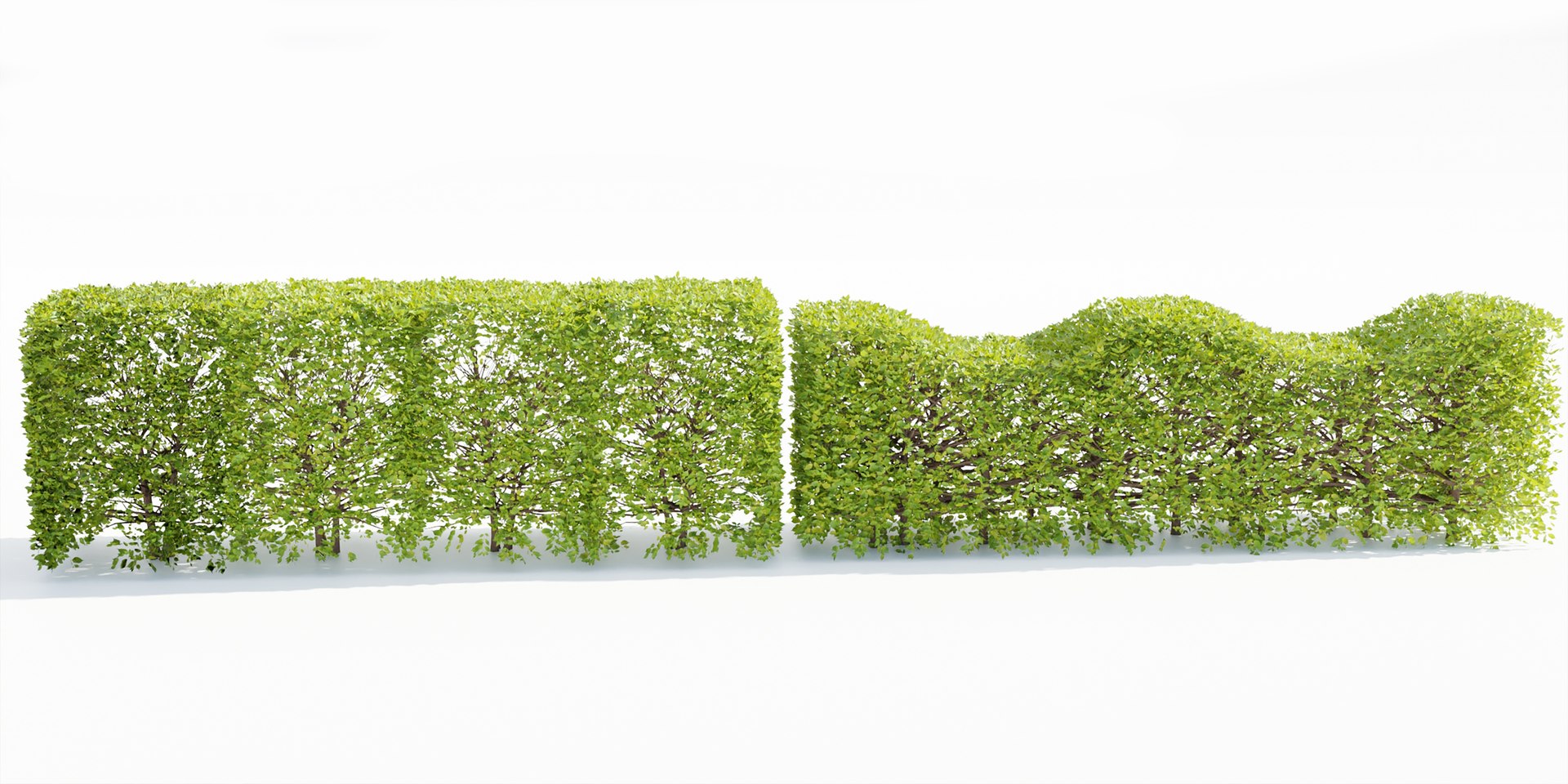 bush collection vol 38-Blender 3D https://p.turbosquid.com/ts-thumb/qC/bzRI2k/en/4/jpg/1692204395/1920x1080/fit_q87/0635d8e8b82cee1f2bb106da8ab79dc62a779821/4.jpg