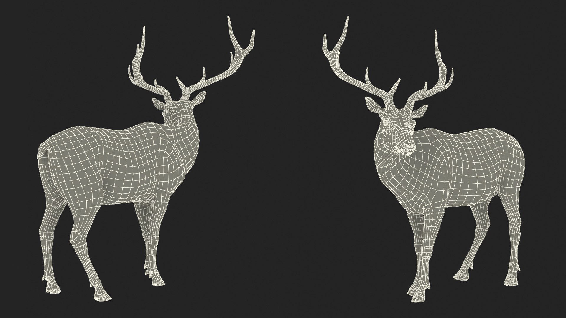 Elk Standing Pose 3D Model - TurboSquid 2262152