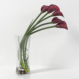 Calla lily  06 3D model