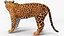 Big Cats Collection 3D model