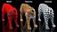 Big Cats Collection 3D model