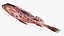 Rosy Scorpionfish