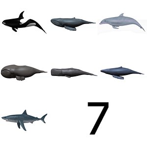 sea animals