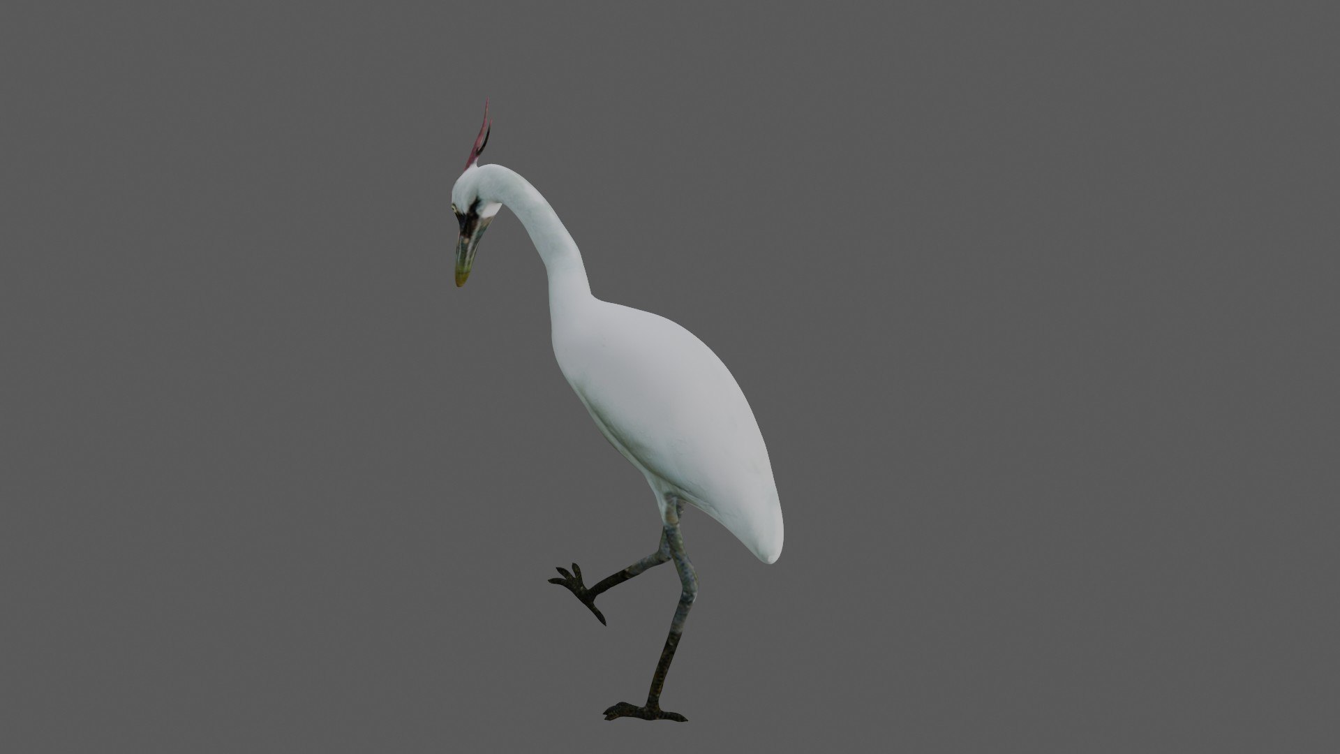 Tcl thunderbird crane 6 pro