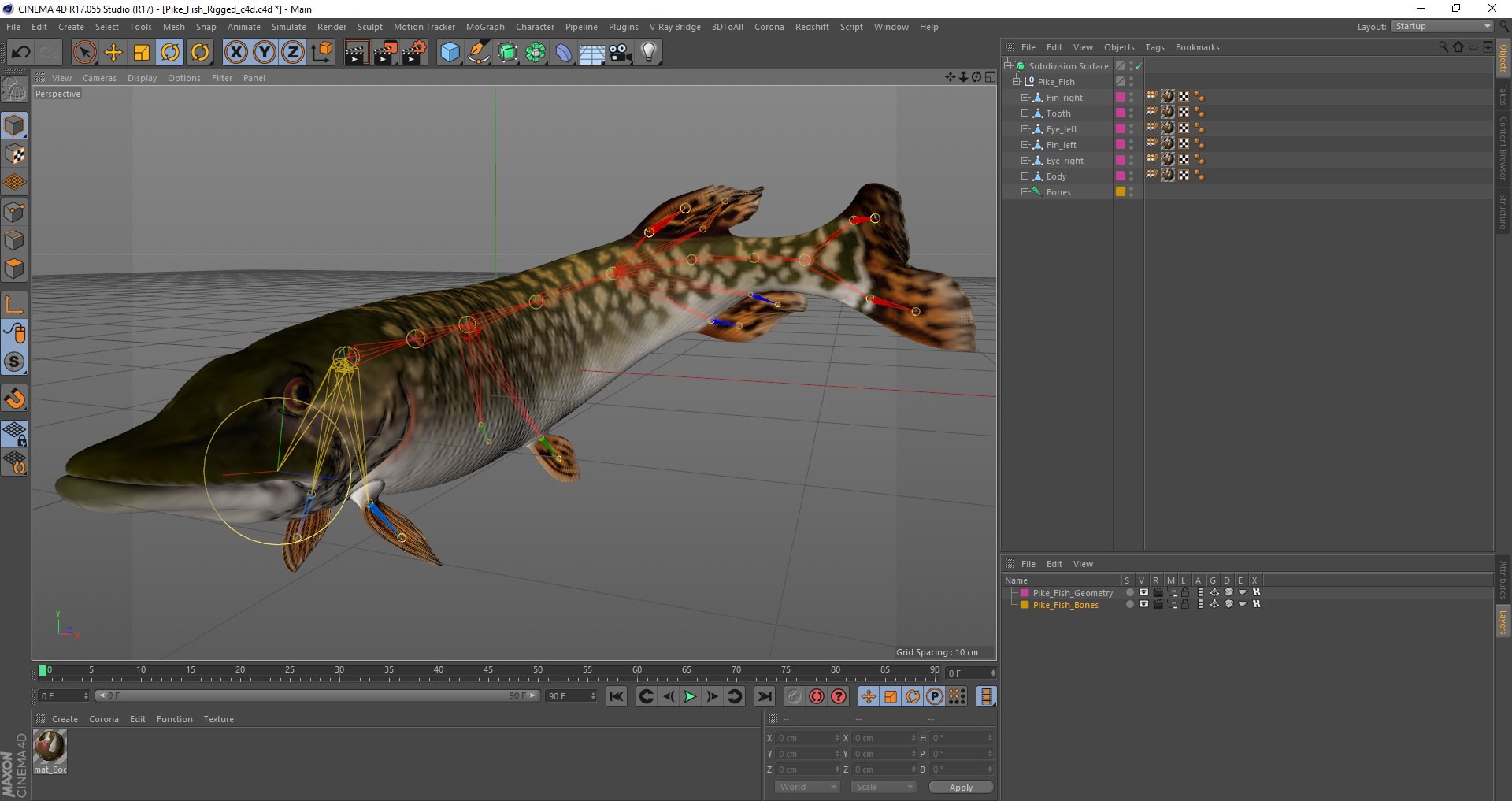 pike fish rigged 3D model https://p.turbosquid.com/ts-thumb/qD/RCyKYS/dvf5hd9A/pike_fish_rigged_c4d_04/jpg/1596441189/1920x1080/fit_q87/86ddbdff3ad9228442c99ead8c109c0e09981d72/pike_fish_rigged_c4d_04.jpg