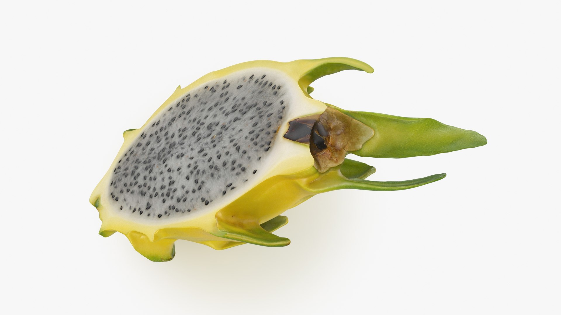 3D model Yellow Dragon Fruit Half Collection https://p.turbosquid.com/ts-thumb/qD/heXd4K/Cl/dragonfruityhalf01_b0002/jpg/1702399189/1920x1080/fit_q87/23c6d69b831be1119c592a1c5b644fff5795e145/dragonfruityhalf01_b0002.jpg