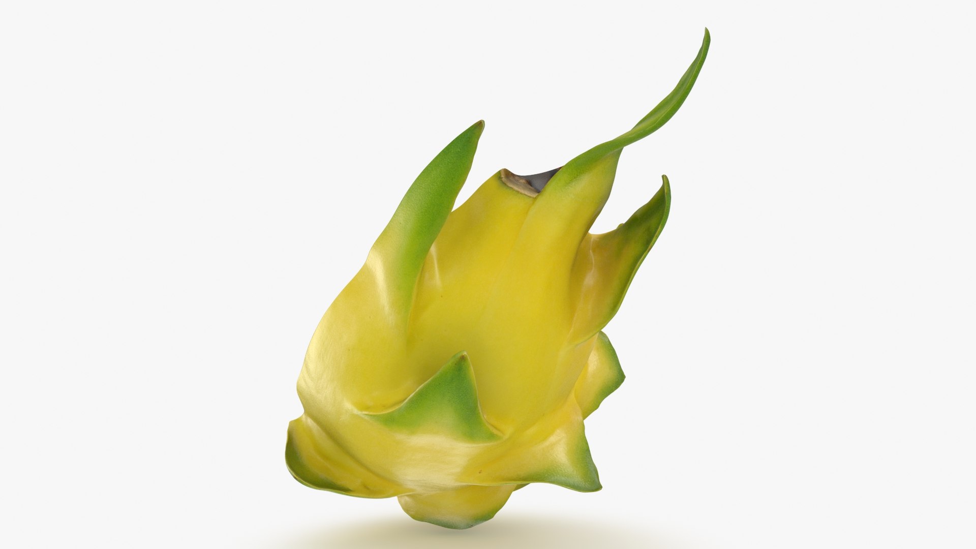 3D model Yellow Dragon Fruit Half Collection https://p.turbosquid.com/ts-thumb/qD/heXd4K/OB/dragonfruityhalf02_b0004/jpg/1702400143/1920x1080/fit_q87/0d202268412b13966174f479c8720794368d6a43/dragonfruityhalf02_b0004.jpg