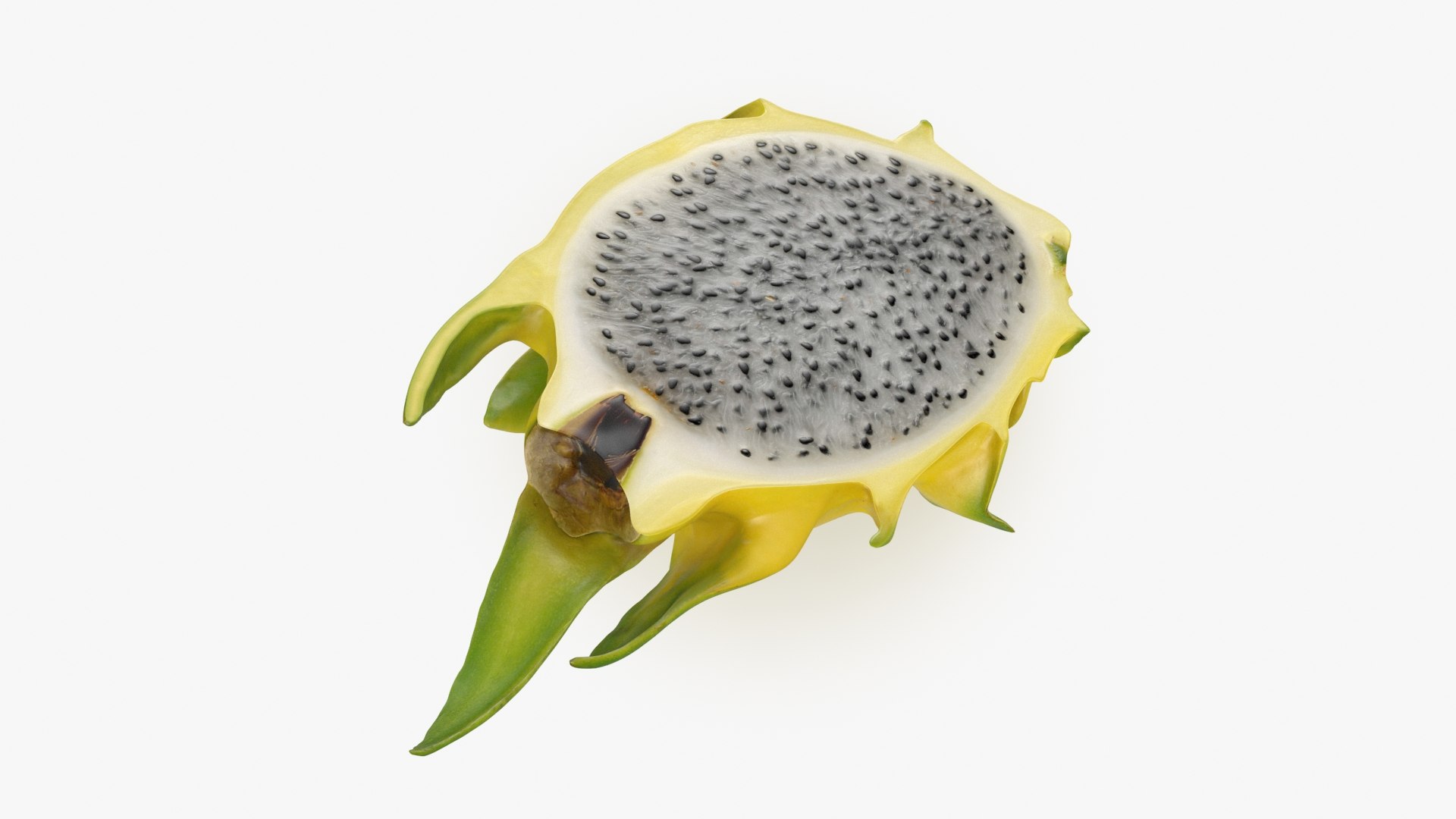 3D model Yellow Dragon Fruit Half Collection https://p.turbosquid.com/ts-thumb/qD/heXd4K/kt/dragonfruityhalf02_b0002/jpg/1702400143/1920x1080/fit_q87/2b4451a79e67be72178899f211f42c0c8054905b/dragonfruityhalf02_b0002.jpg