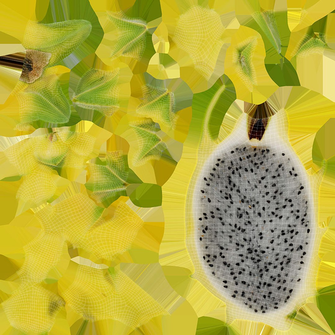 3D model Yellow Dragon Fruit Half Collection https://p.turbosquid.com/ts-thumb/qD/heXd4K/u8/dragonfruityhalf01_d0004/jpg/1702399198/1920x1080/fit_q87/9233ad57487b0fd8edf1dca19cd2336f7ade6873/dragonfruityhalf01_d0004.jpg