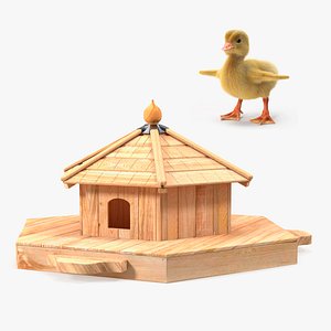 Baby Duck with Floating Duck House Collection