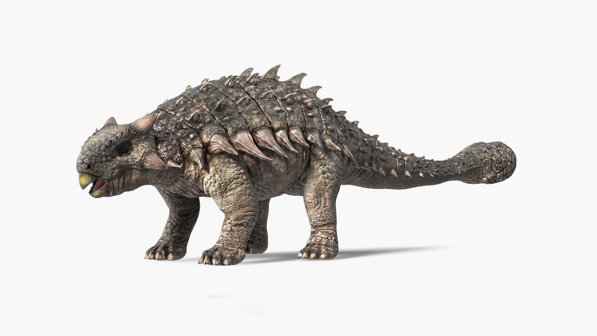 3D model Alkylosaurus of Tropical Habitat Rigged for Cinema 4D https://p.turbosquid.com/ts-thumb/qD/rTRZ5C/Es/alkylosaurusoftropicalhabitatriggedforcinema4dmb3dmodel049/jpg/1717290943/1920x1080/fit_q87/817cd3682f8c00f50cc0151e6ce9e7ecc6d790dc/alkylosaurusoftropicalhabitatriggedforcinema4dmb3dmodel049.jpg