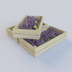 Grapes in container