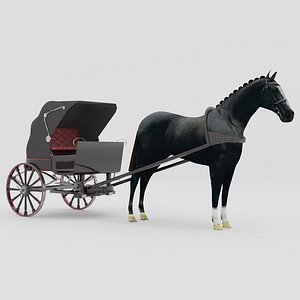Race Chariot
