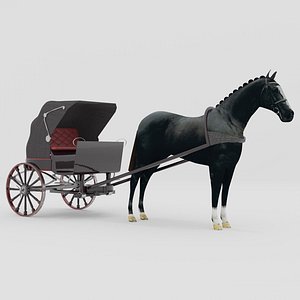 Race Chariot