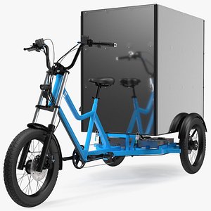 Commercial Grade Electric Trike with Cargo Box Rigged