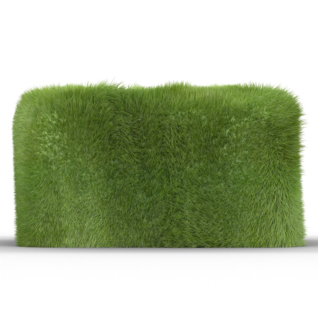 grass chair 3d model https://p.turbosquid.com/ts-thumb/qE/S8gov4/Bfx7Lc40/grasschair_73/jpg/1406220051/1920x1080/fit_q87/fbc6bd0db47d9b55144784d858e6987e84ed4933/grasschair_73.jpg