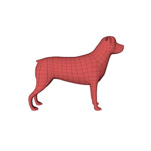Rottweiler base mesh