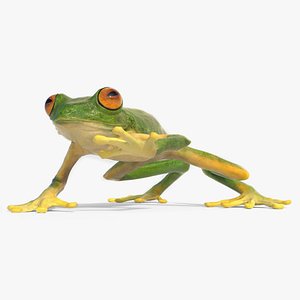 Walking Tree Frog Animated Rigged for Blender