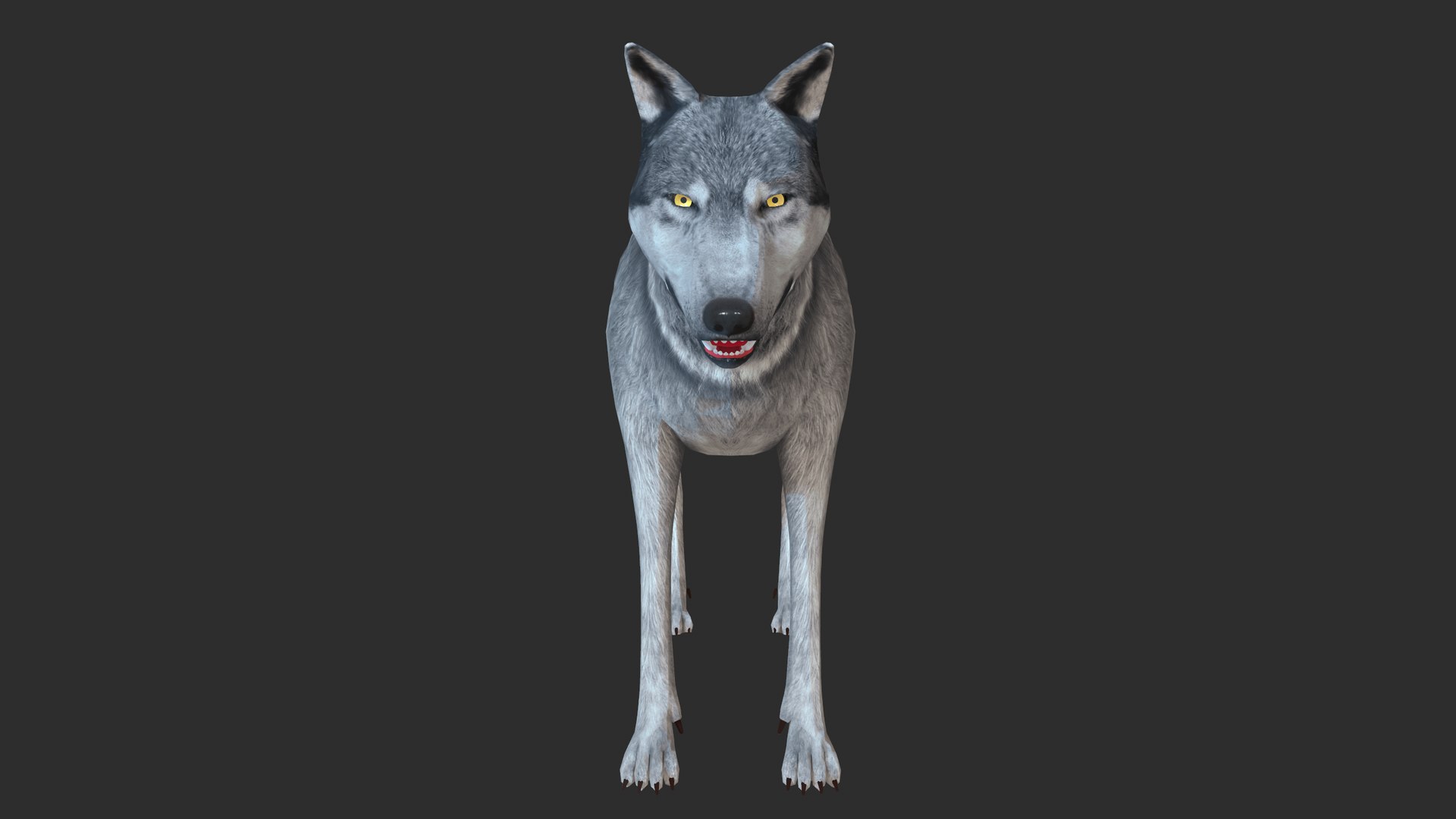 3D nature animal mammals model https://p.turbosquid.com/ts-thumb/qE/jMzlLP/1O/screenshot001/png/1611576896/1920x1080/fit_q87/f4351dba21cd2ec2ef3c593a032268ea1bad162d/screenshot001.jpg