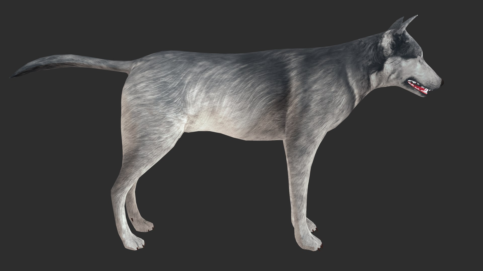 3D nature animal mammals model https://p.turbosquid.com/ts-thumb/qE/jMzlLP/6M/screenshot003/png/1611576936/1920x1080/fit_q87/a7dc52f0da7eeba482d6e99b6f9bd14b9bae9103/screenshot003.jpg