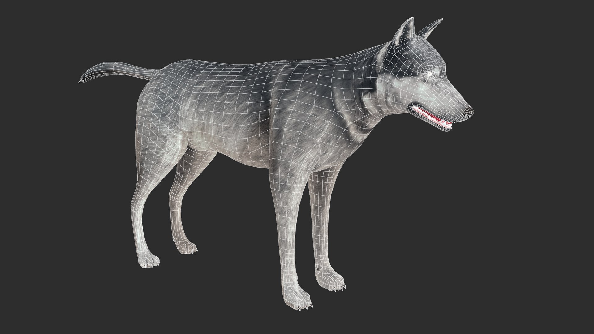 3D nature animal mammals model https://p.turbosquid.com/ts-thumb/qE/jMzlLP/CL/screenshot006/png/1611577053/1920x1080/fit_q87/b938fd9c3d064ceb6bf8a7d10a11b50679b58f98/screenshot006.jpg