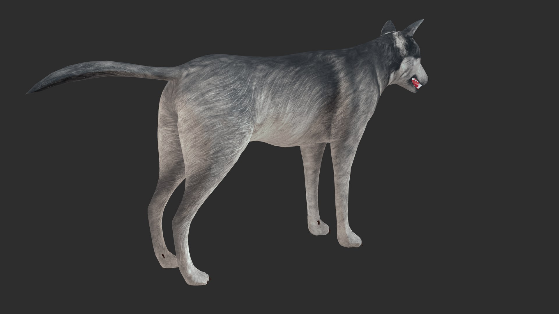 3D nature animal mammals model https://p.turbosquid.com/ts-thumb/qE/jMzlLP/E0/screenshot005/png/1611576934/1920x1080/fit_q87/8843e71742abeffc98c58a6e5375049d297b1883/screenshot005.jpg