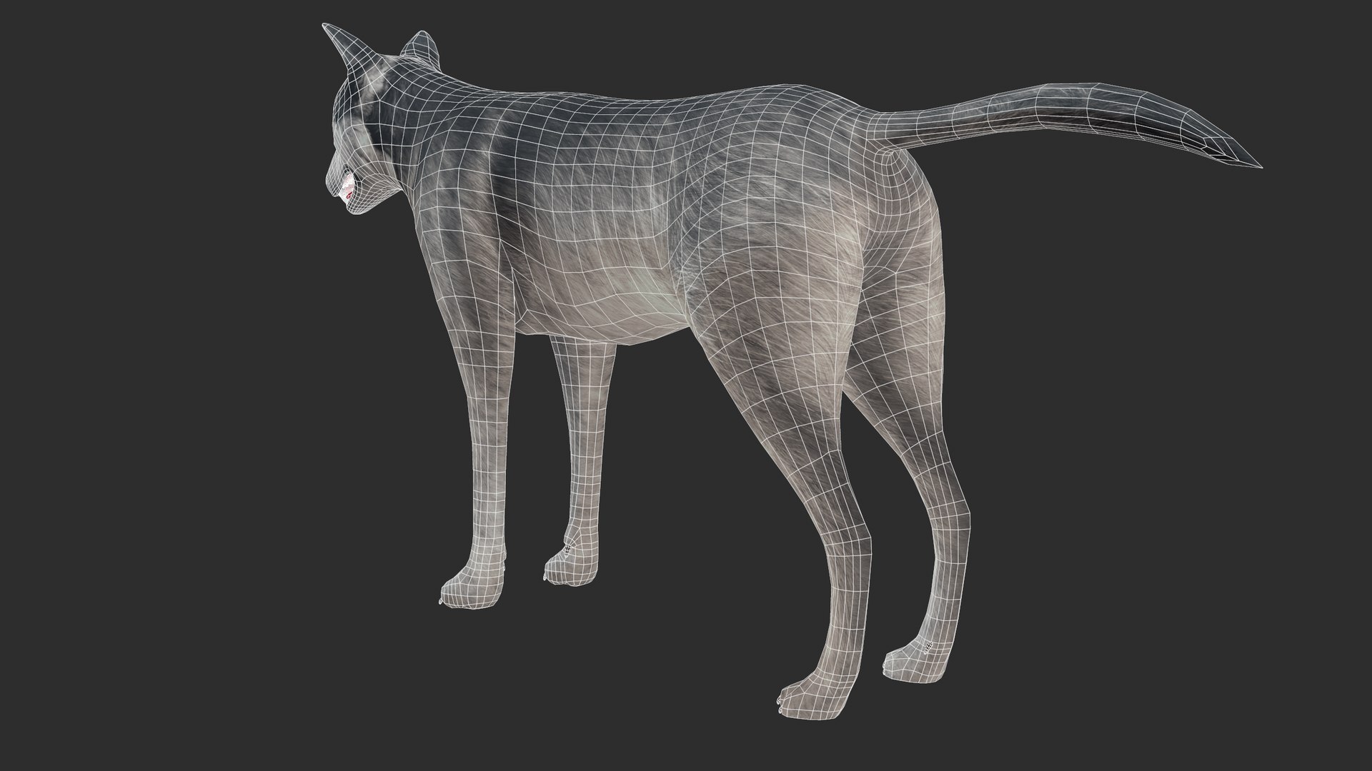 3D nature animal mammals model https://p.turbosquid.com/ts-thumb/qE/jMzlLP/MQ/screenshot008/png/1611577036/1920x1080/fit_q87/fbc4036cc06f1bfb531a50a9f6a5a76dc7c4fa83/screenshot008.jpg