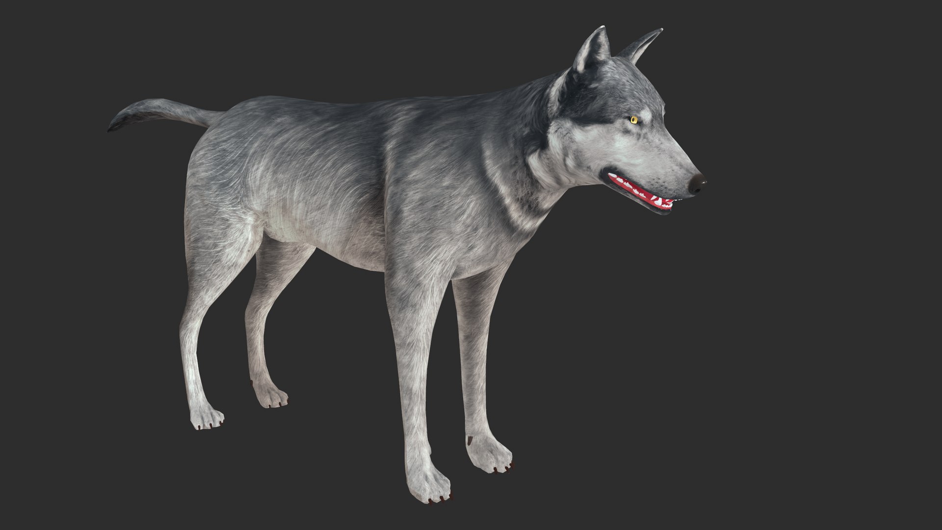 3D nature animal mammals model https://p.turbosquid.com/ts-thumb/qE/jMzlLP/NY/screenshot002/png/1611576908/1920x1080/fit_q87/3ca74a0ec3fcd3f866269b3df9b840e9f4d201fb/screenshot002.jpg