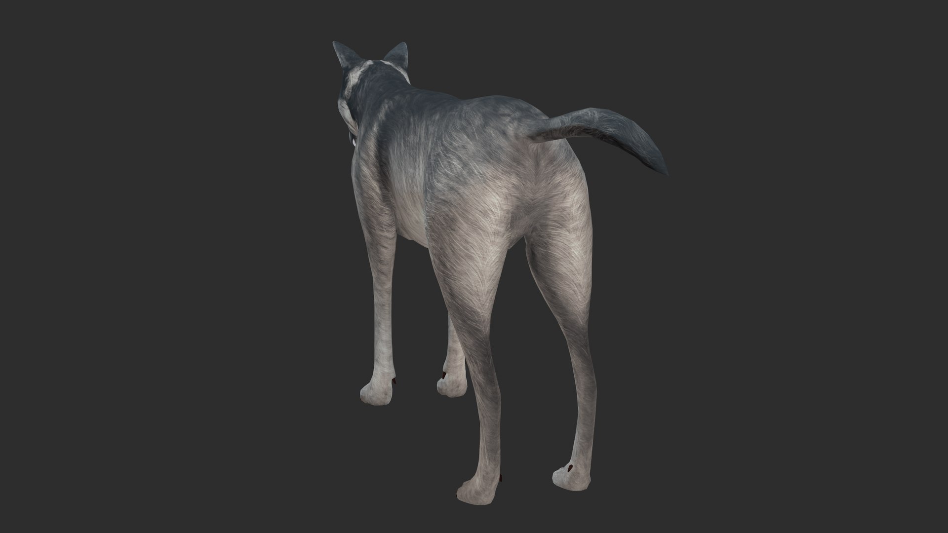3D nature animal mammals model https://p.turbosquid.com/ts-thumb/qE/jMzlLP/Pr/screenshot004/png/1611576929/1920x1080/fit_q87/24d6e4d01731be5a3f34bf797df9d2b77e525465/screenshot004.jpg